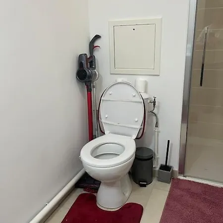 Luxueux Au Coeur De Lille